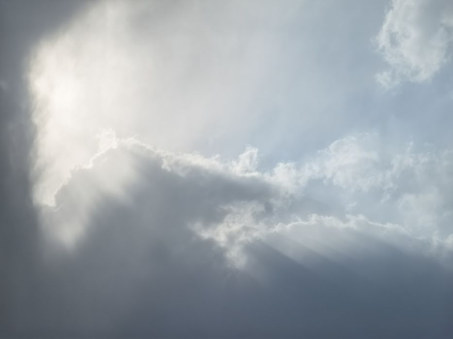 Huawei p60pro торг