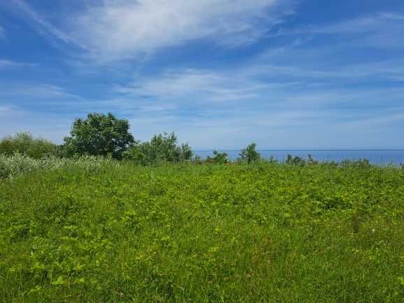 Продава се Парцел в Бяла - 8600 кв.м за 71 €/кв.м - Снимка #7