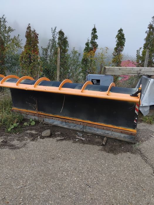 Lame de Zăpadă și sălăriță