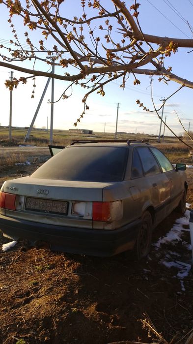 налок салынган тех жок