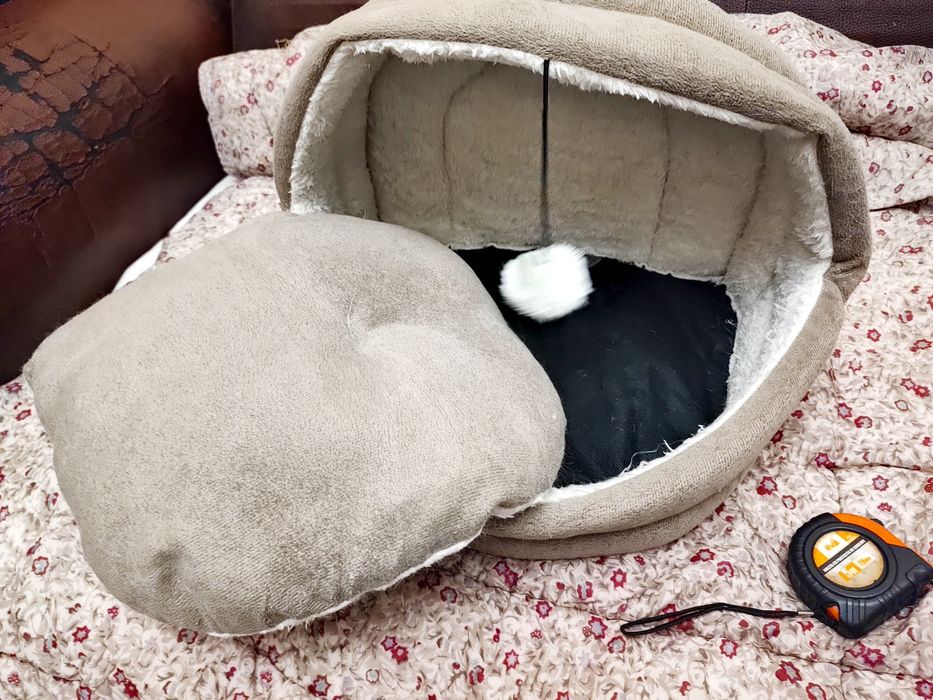 iglu "Pawise" pisici