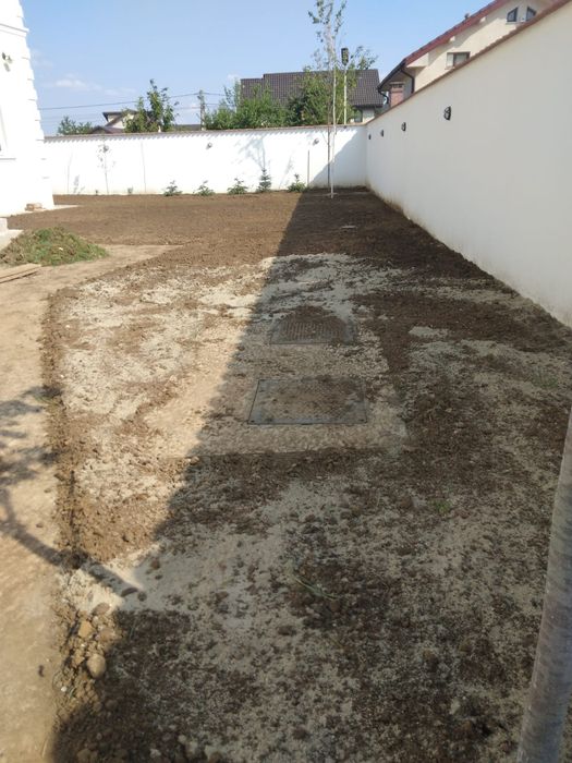 Gazon rulou calitate superioara