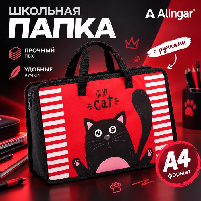 Папка школьная для тетрадей