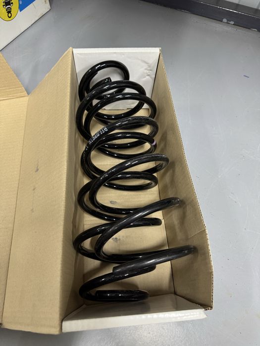 Пружины Пассат/Ауди оригинал