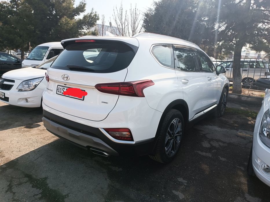 Hyundai Santa Fe full poziciya