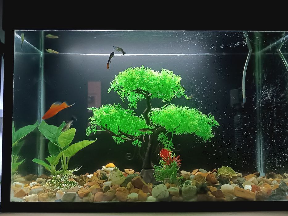 Аквариум 40литров