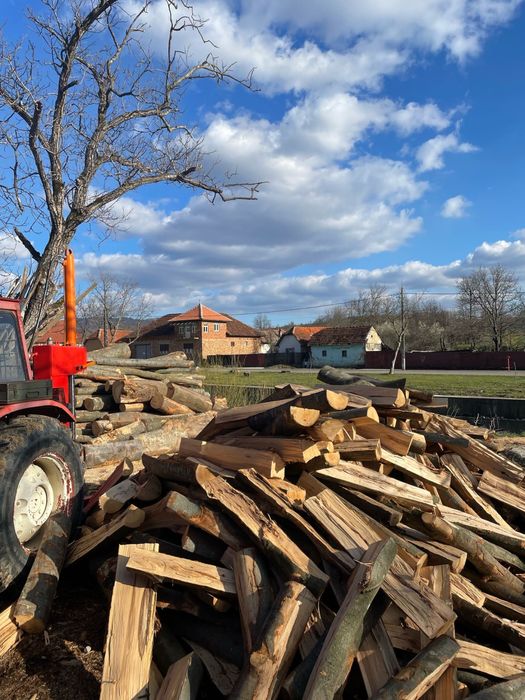‼️SC‼️Depozit autorizat comercializăm lemne de foc esențe tarii‼️