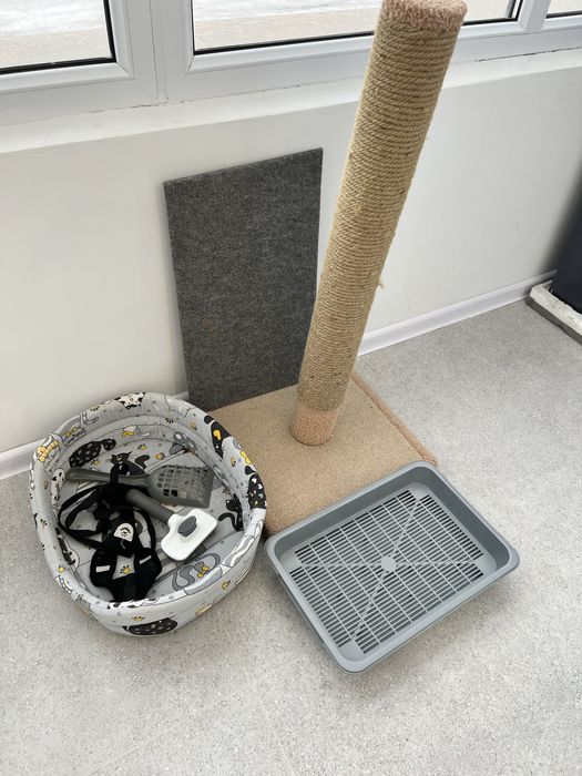 Когтеточка и лоток