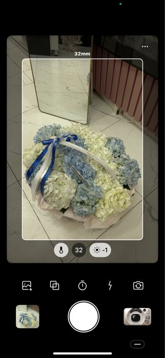 Гортензия 15шт свежий