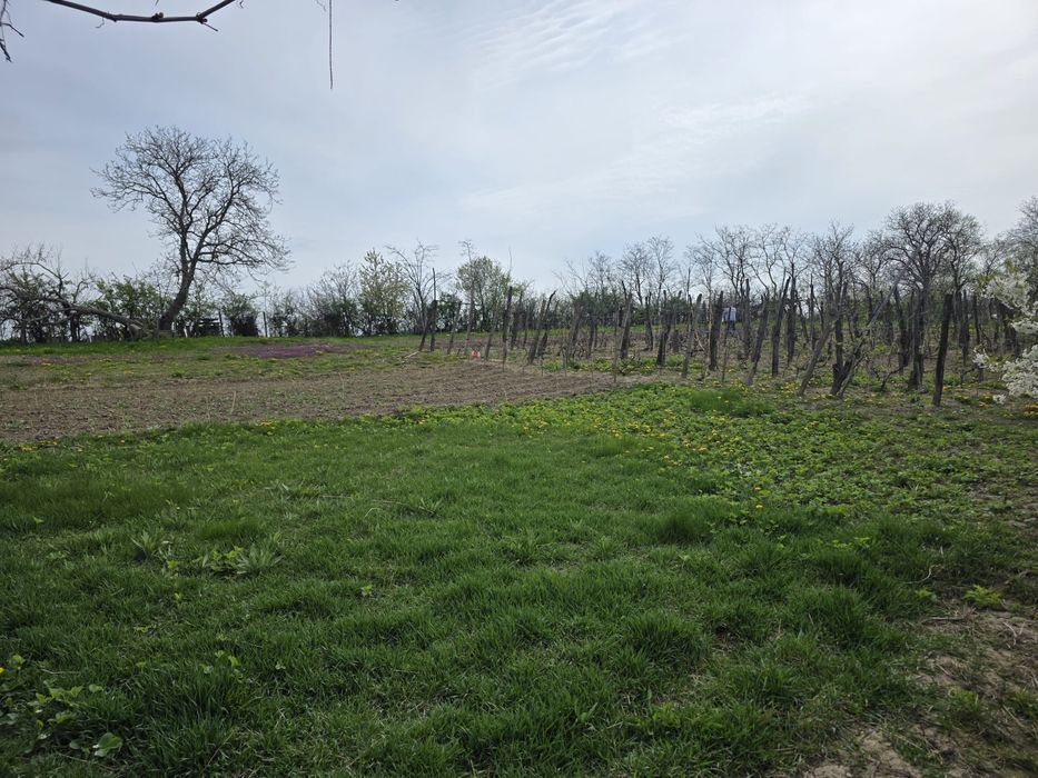 Casa de vânzare cu teren generos