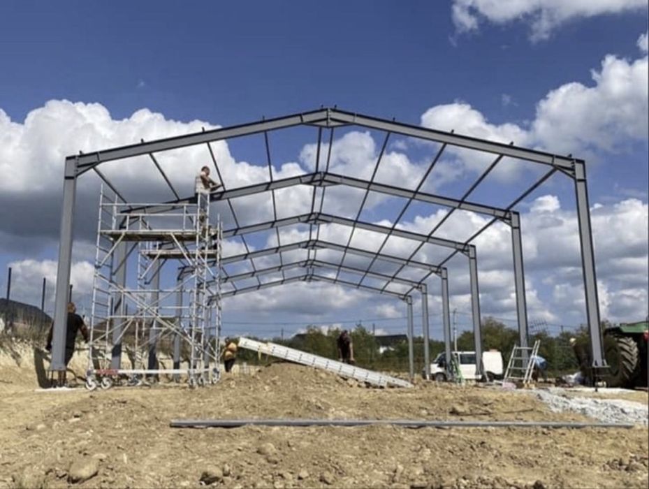 Vand hale metalice structurii metalice