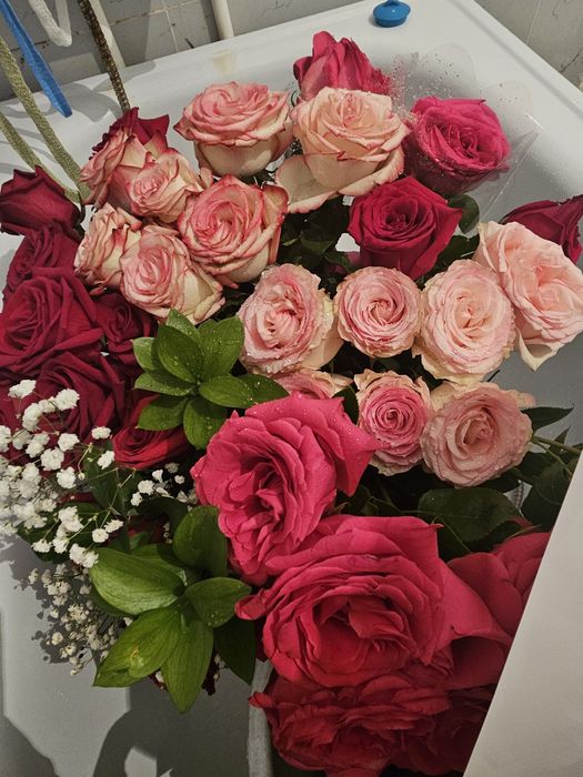 Продам цветы  свежие