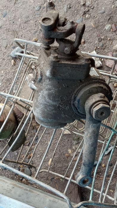 Газель рулавая с