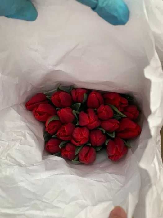 Тюльпаны оптом от 30 шт