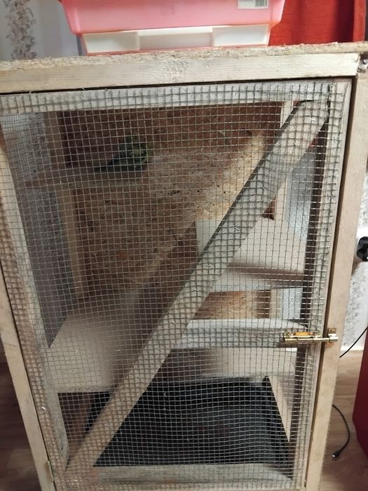 Cușcă animale sau păsări ( colivie )