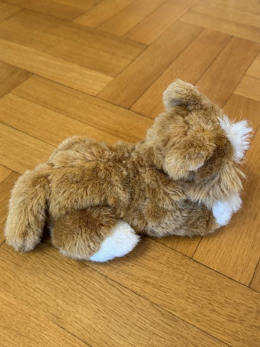 Интерактивно коте