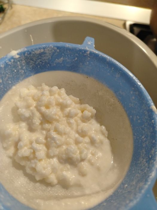 Set kambucea și kefir de lapte