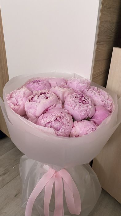 Цветы пионы розовые