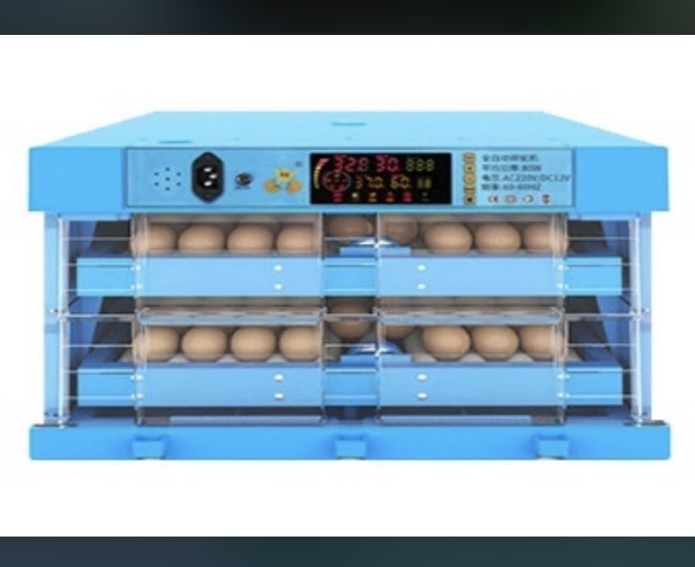 Инкуботор для яиц