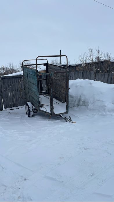 Продам коневозку