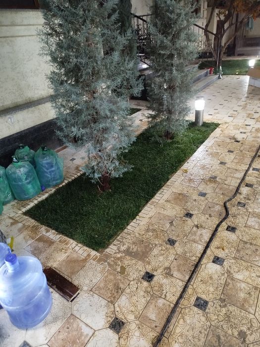 Gazon ekamiz Urug' Sepamiz Landshaft Va Dizayn Ishlarini Qilamiz