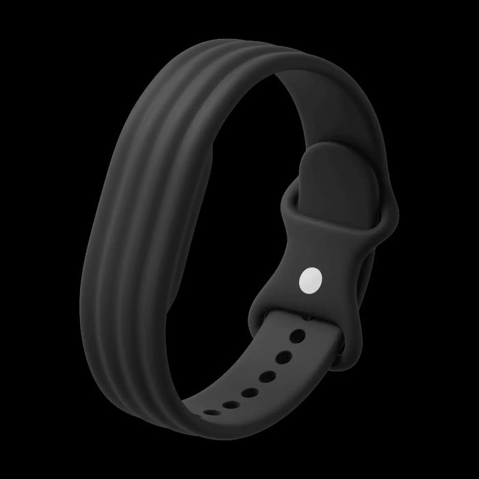 Google Fitbit Air Armband Original