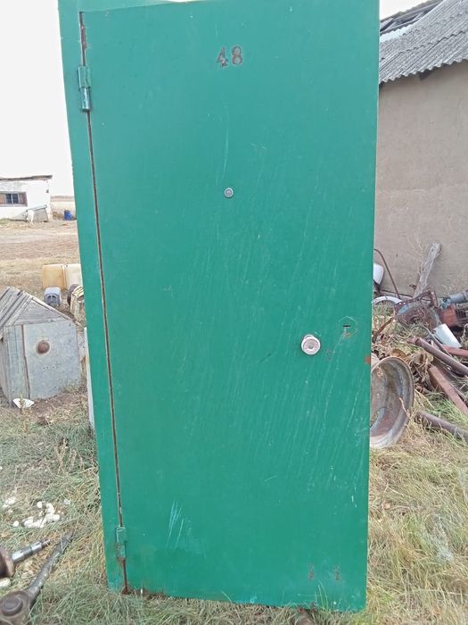 Железная входная дверь