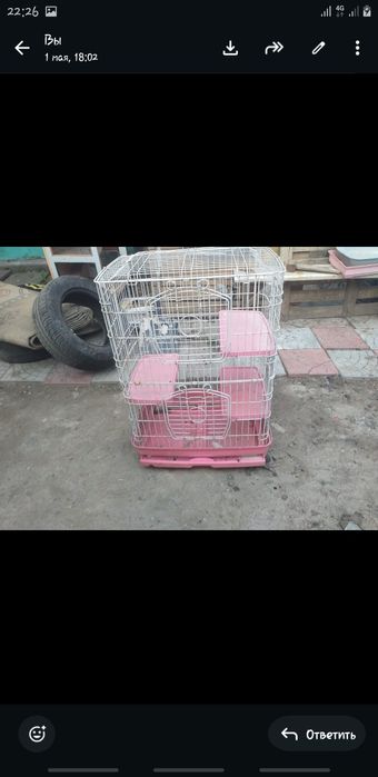 Клетки разных размеров