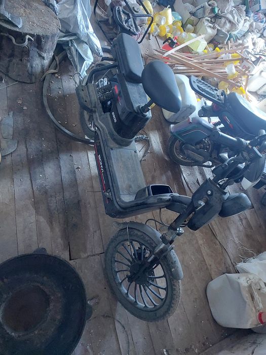 Electra sukutr sotiladi