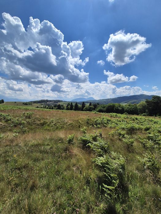 Teren Superb de Vânzare în Holbav, Jud. Brașov - 3546 mp, PUZ în Lucru