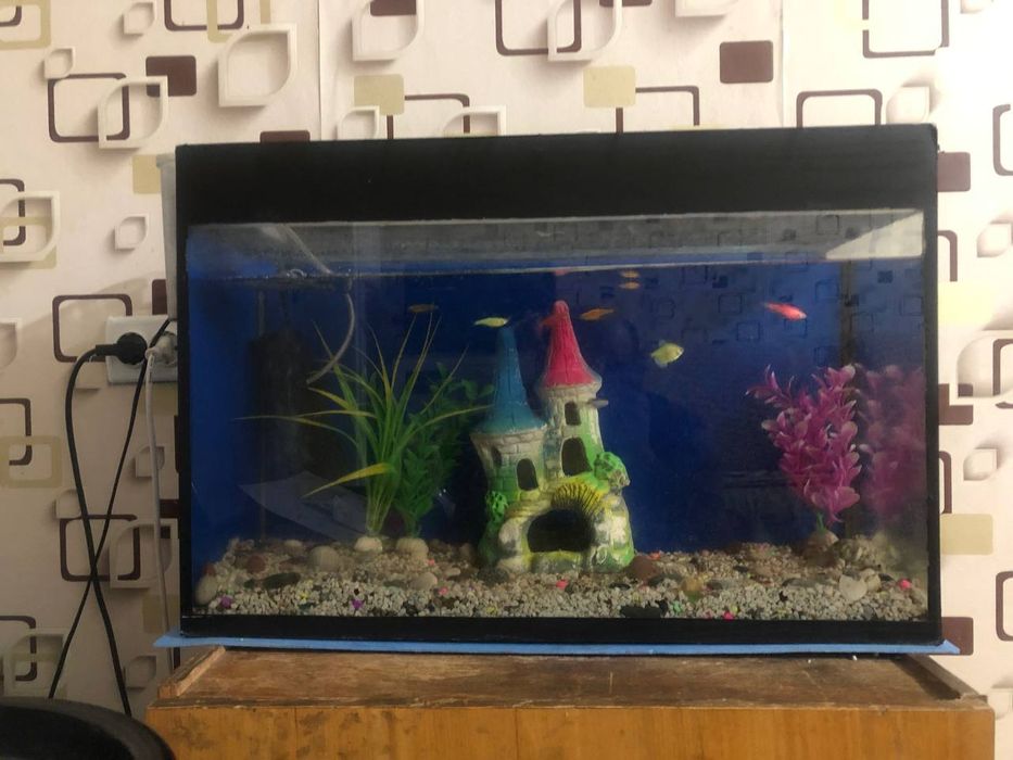 Продаётся срочно аквариум