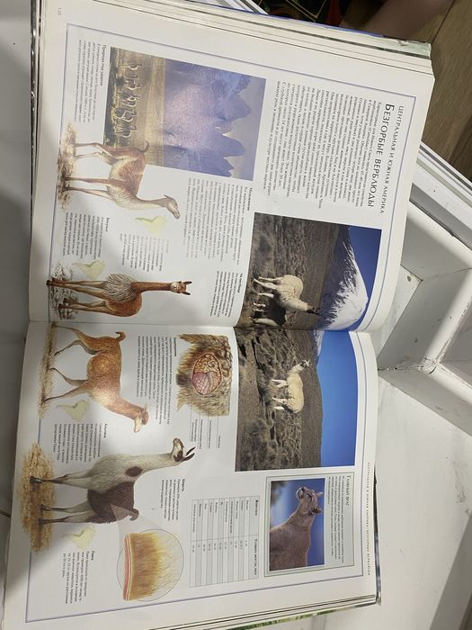 Продам книги для детей и подростков