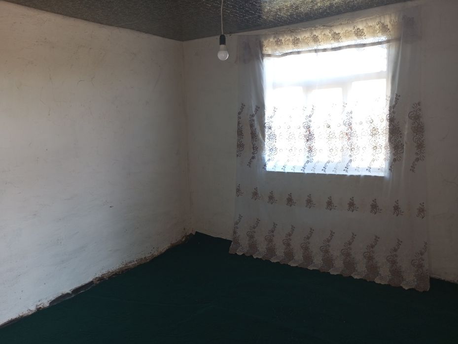 Дача Сатылады. Жузим баг