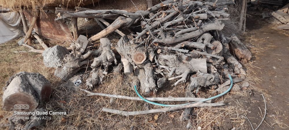 Утин сотилади срочна