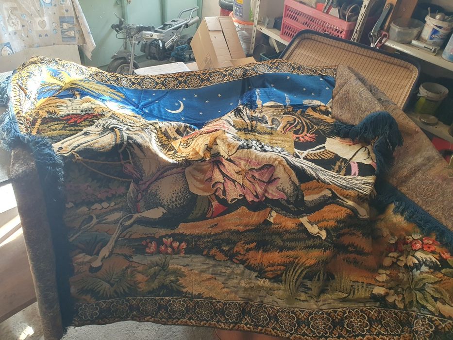 Diferite carpete oferta