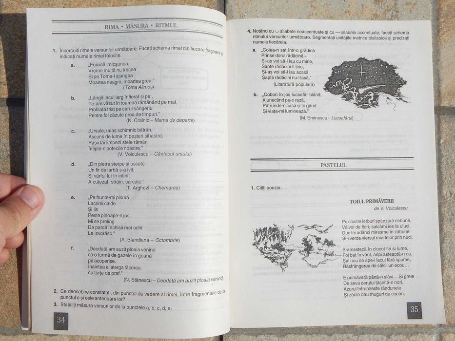 Caietul elevului romana VI S Serban A Serban All Educational 1999