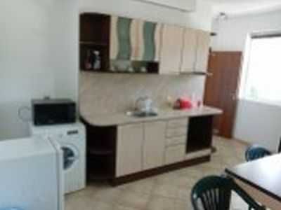 Стаи под наем - целогодишен прием от 20лв.