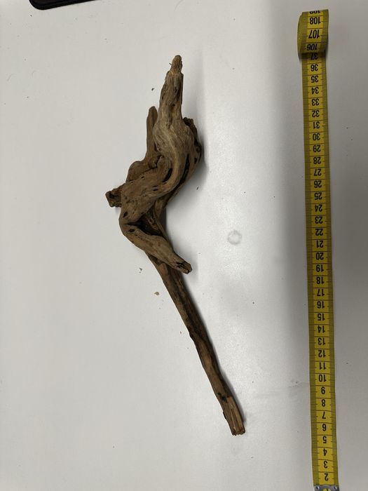 Lemne / radacini acvariu