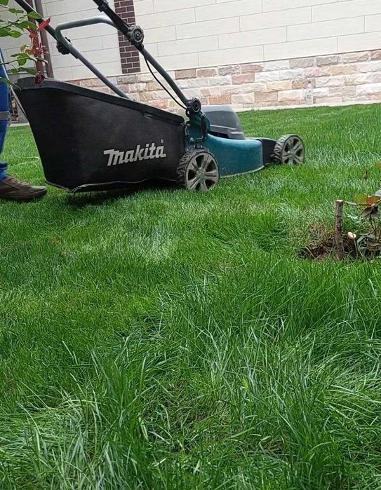 Стрижка газона стрижкаЕлок ландшафтный дизайн поливочная система gazon