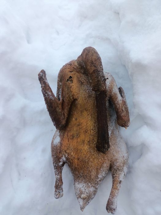 Продам домашних гусей горячего копчения