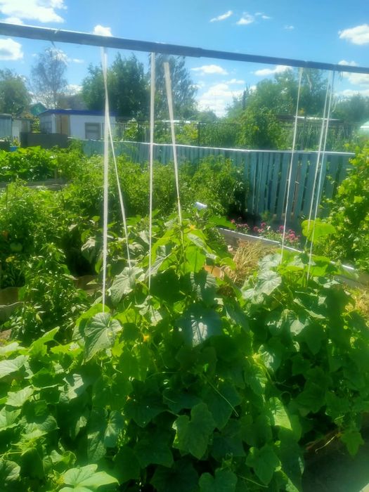 Продам Дачу в СТ Лада