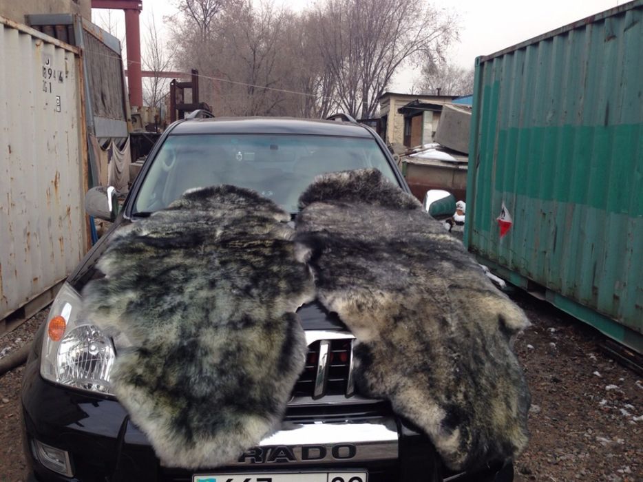 Меховые чехлы накидки