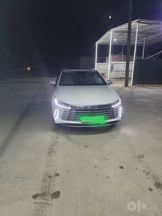 Byd chazor 120 flangship