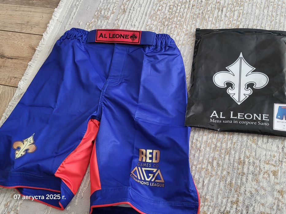 Al leone aiga chempıons league
