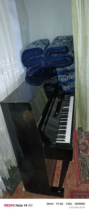 Pianino  sotiladi