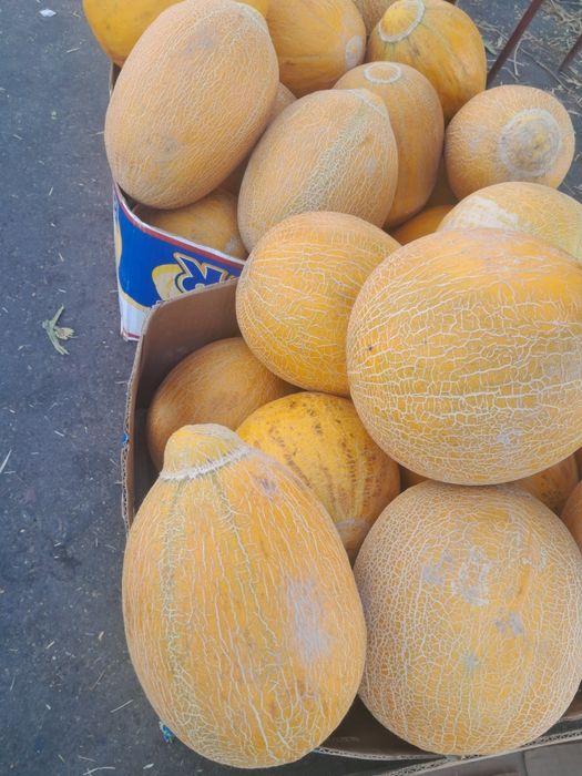 Арбуз тарвуз  доставка