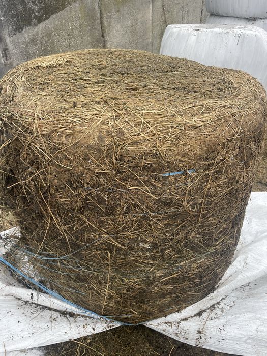 baloti infoliati de lucerna