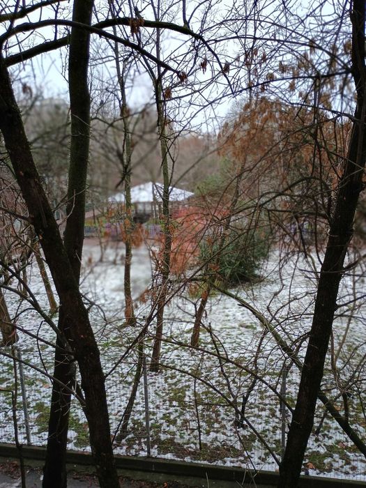 Apartament 3 camere decomandat Drumul Taberei