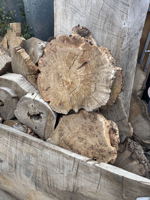 Карагач спилы разные размеры