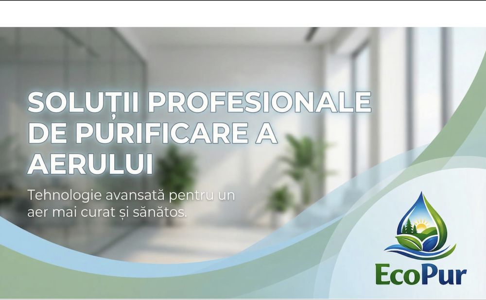 Solutii profesionale impotriva mucegaiului